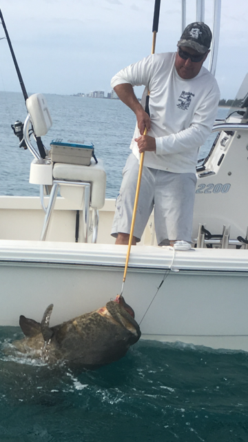 Capturing grouper on boat